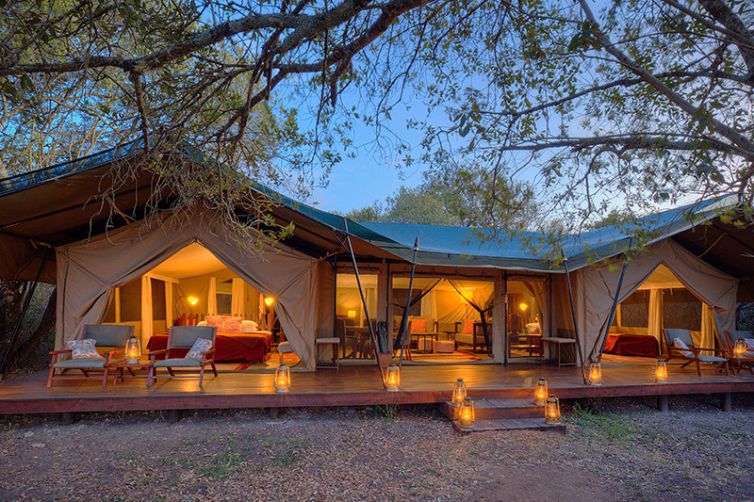 Safari Consultants - Tailor-Made Safari Trips