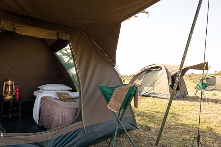 Safari Consultants - Tailor-Made Safari Trips