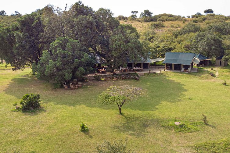 Safari Consultants - Tailor-Made Safari Trips