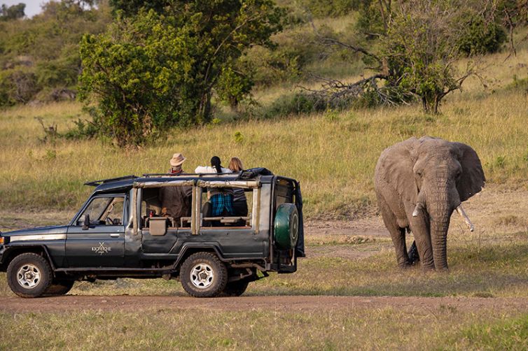 Safari Consultants - Tailor-Made Safari Trips