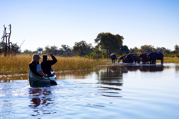 Safari Consultants - Tailor-Made Safari Trips