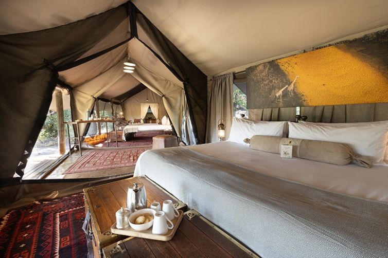 Safari Consultants - Tailor-Made Safari Trips