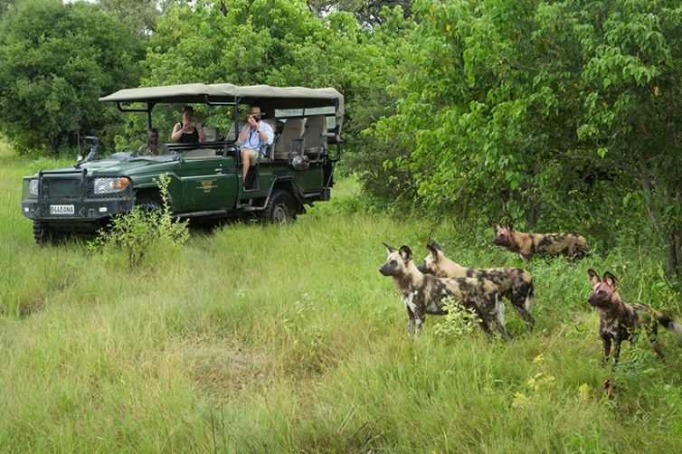 Safari Consultants - Tailor-Made Safari Trips