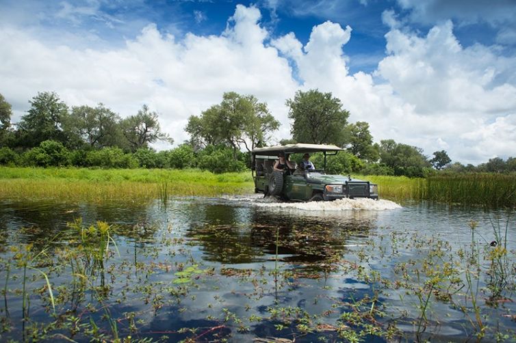 Safari Consultants - Tailor-Made Safari Trips