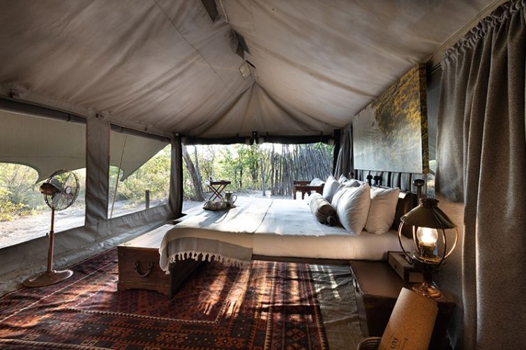 Safari Consultants - Tailor-Made Safari Trips