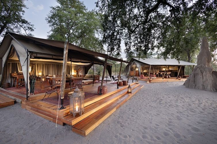 Safari Consultants - Tailor-Made Safari Trips