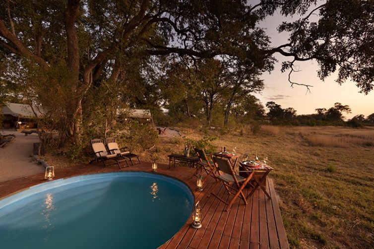 Safari Consultants - Tailor-Made Safari Trips