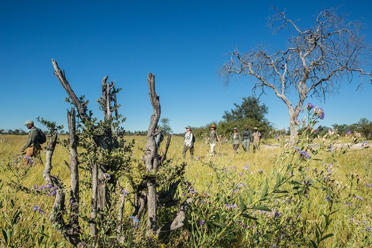 Safari Consultants - Tailor-Made Safari Trips