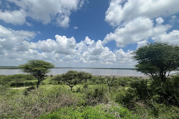 Nyikani Migration Camp | Serengeti Camps