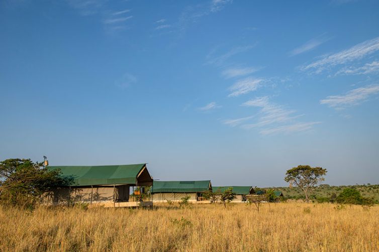 Nyikani Migration Camp | Serengeti Camps