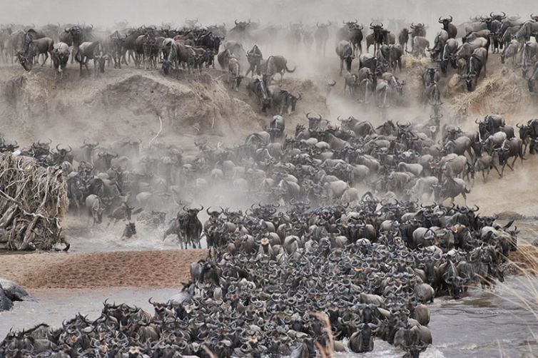 Serian's Serengeti Lamai - Tanzania