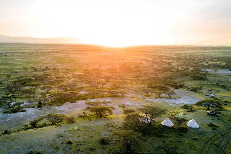 Serian's Serengeti Lamai - Tanzania