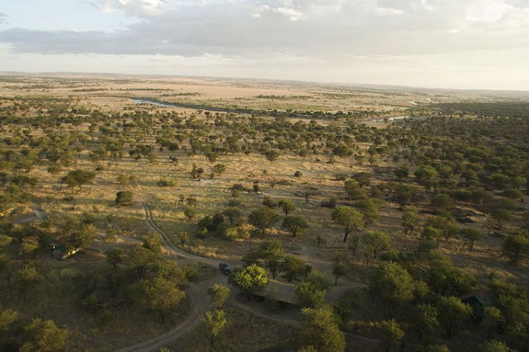 Serian's Serengeti Lamai - Tanzania