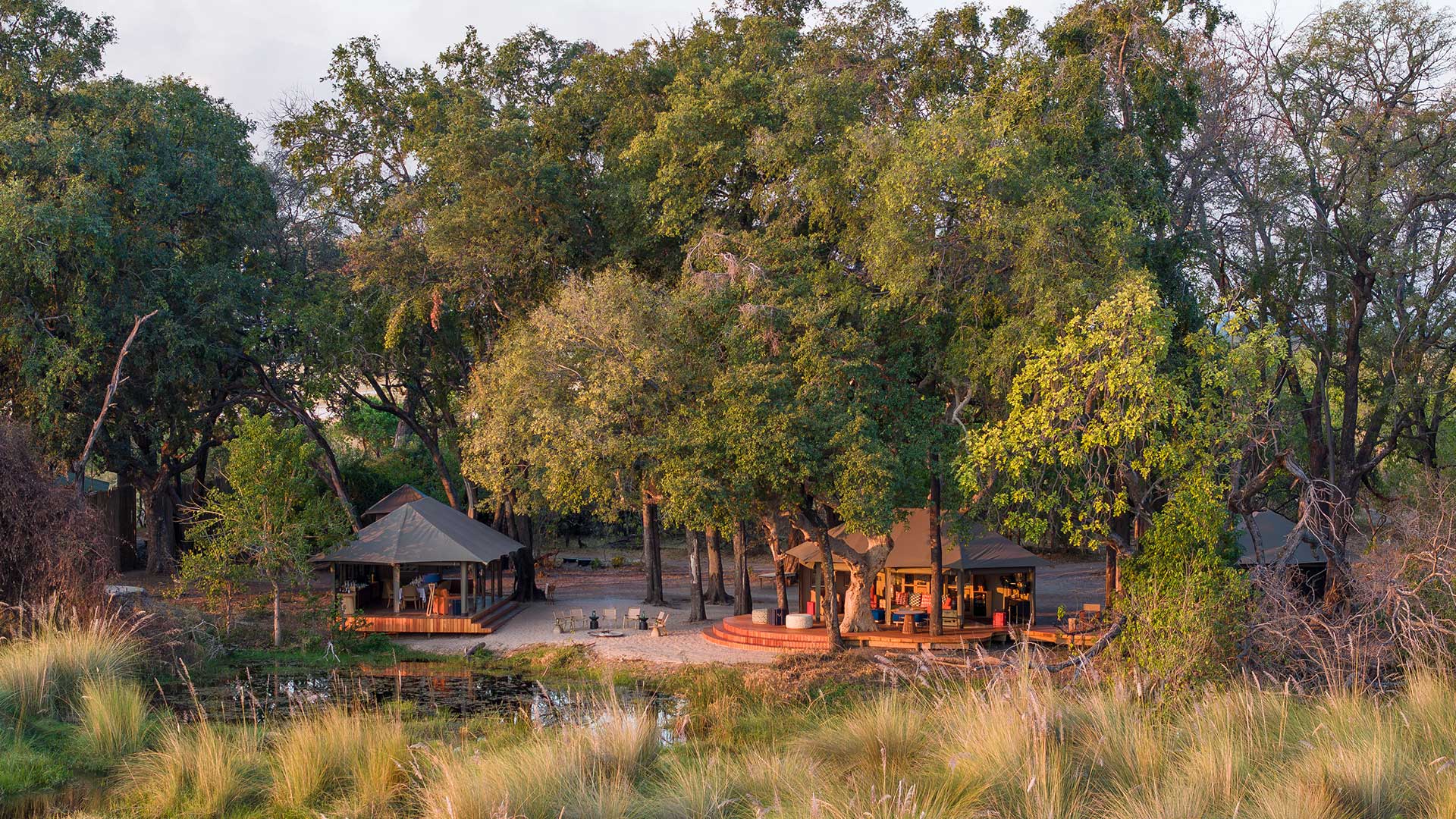 Safari Consultants - Tailor-Made Safari Trips