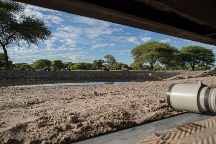 Safari Consultants - Tailor-Made Safari Trips