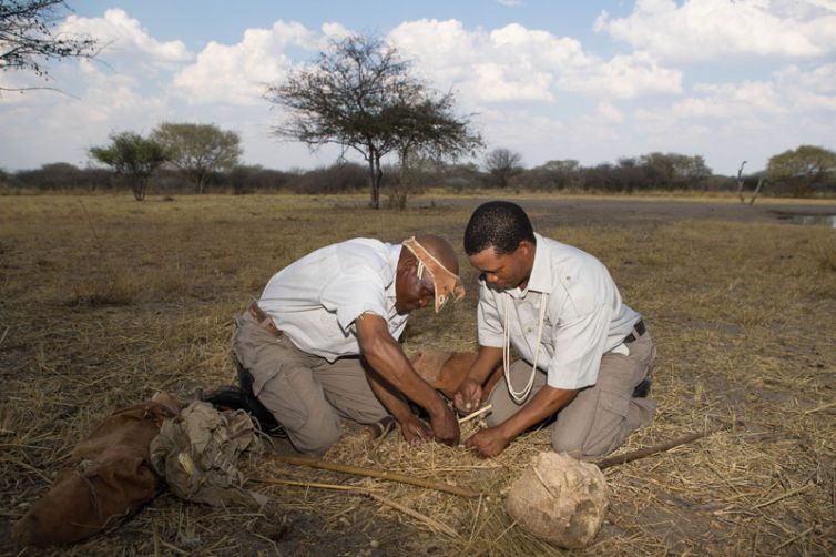 Safari Consultants - Tailor-Made Safari Trips