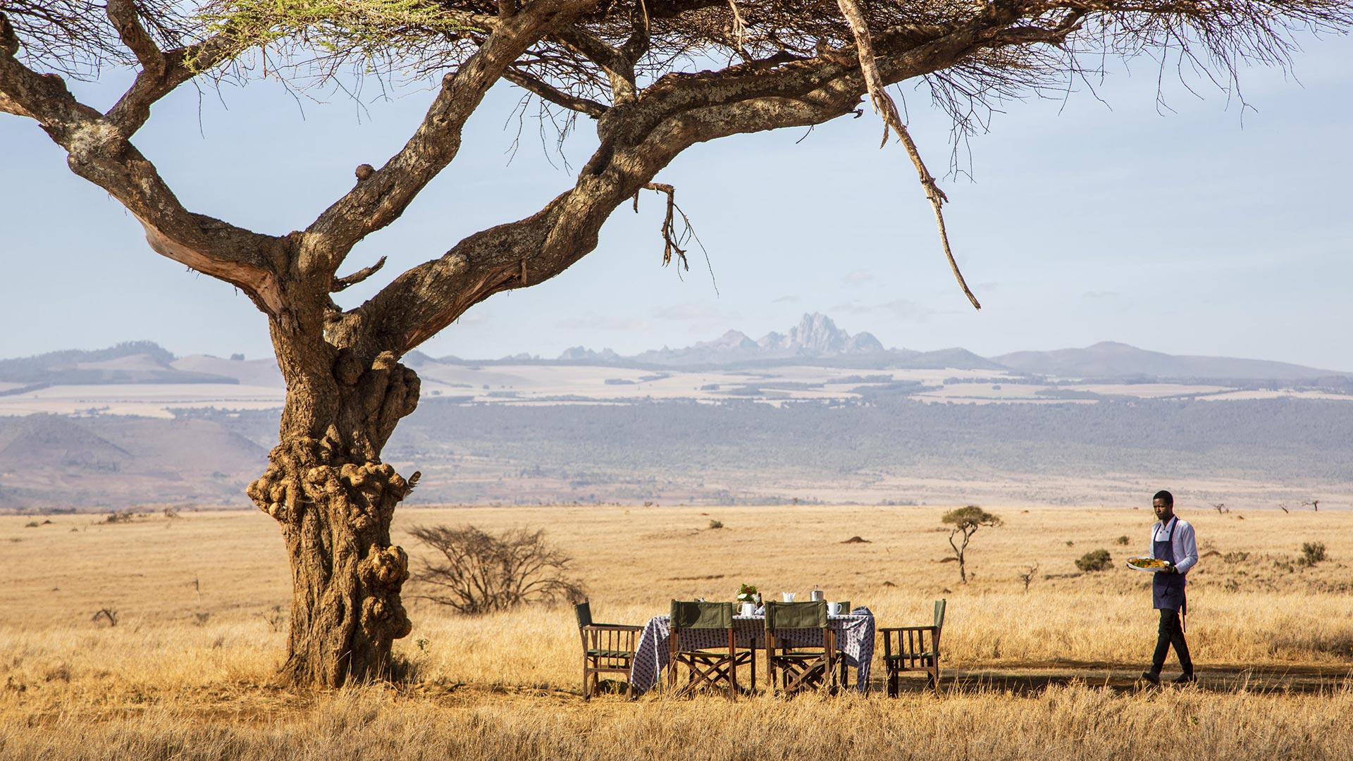 Safari Consultants: Africa Safari Holiday Specialists