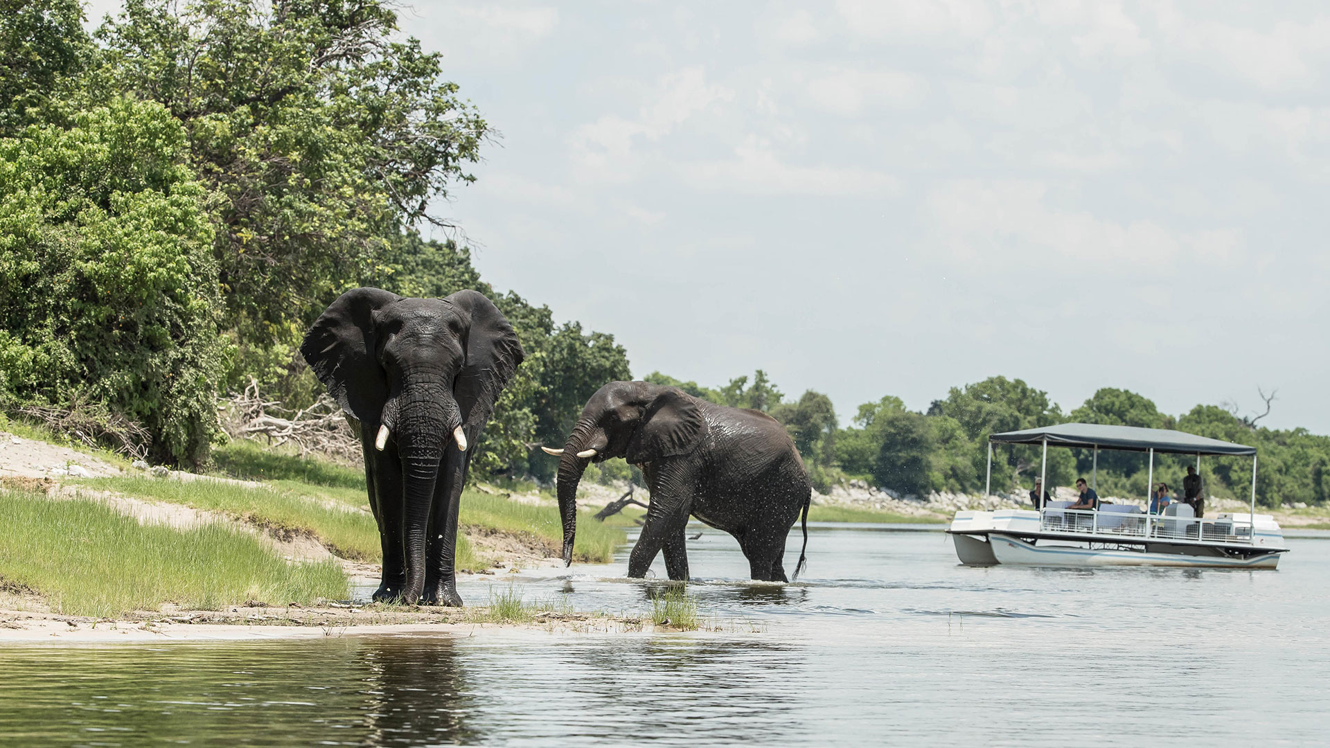 Chobe-River-and-the-Okavango-Delta - African Safari Specialist