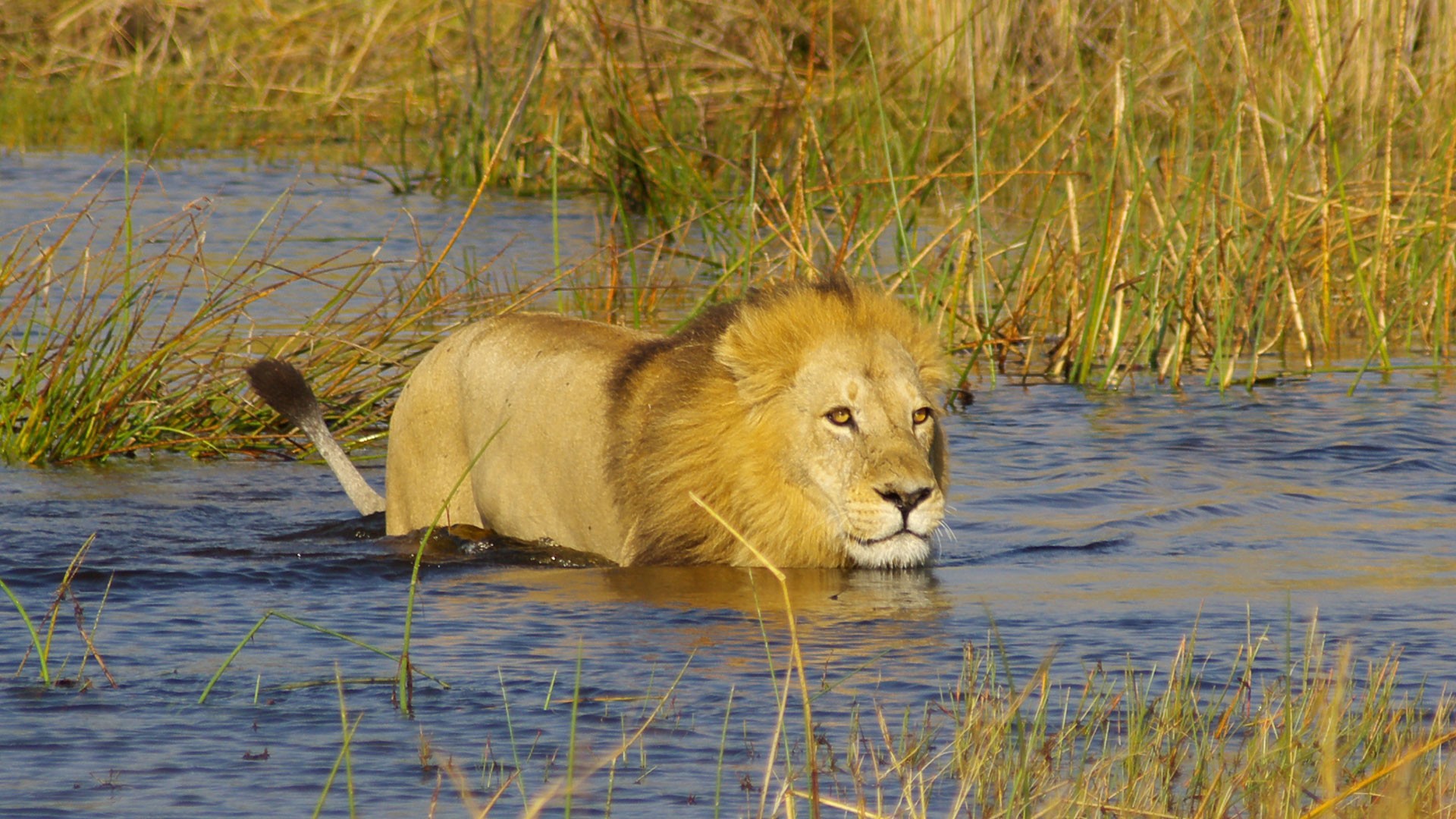 VICTORIA FALLS & THE OKAVANGO DELTA