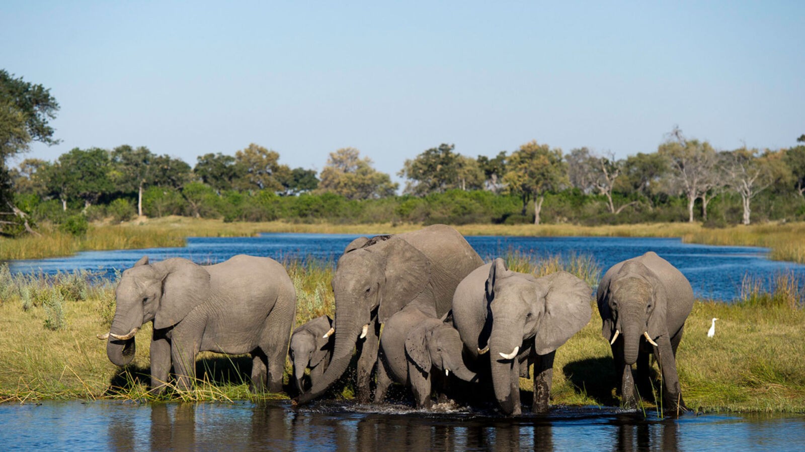 Waterfalls Wilderness and Wildlife - African Safari Specialist