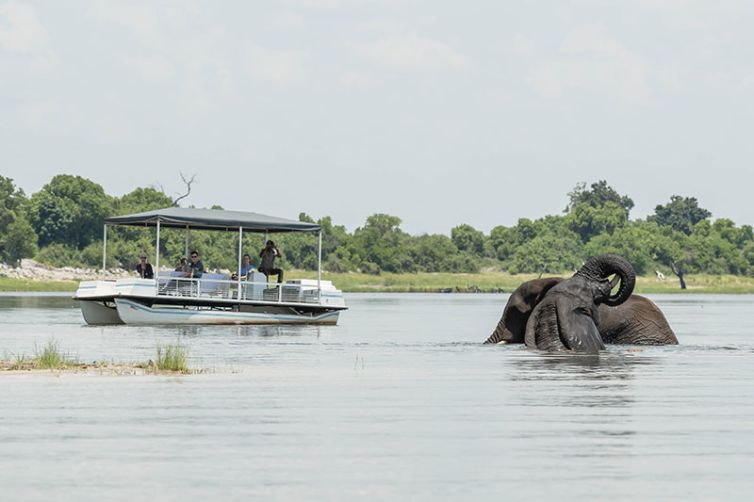 Muchenje Safari Lodge