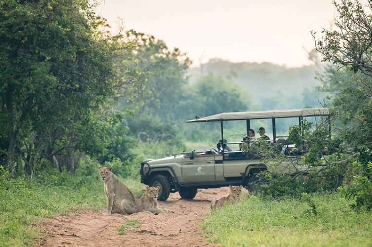 Muchenje Safari Game Drive