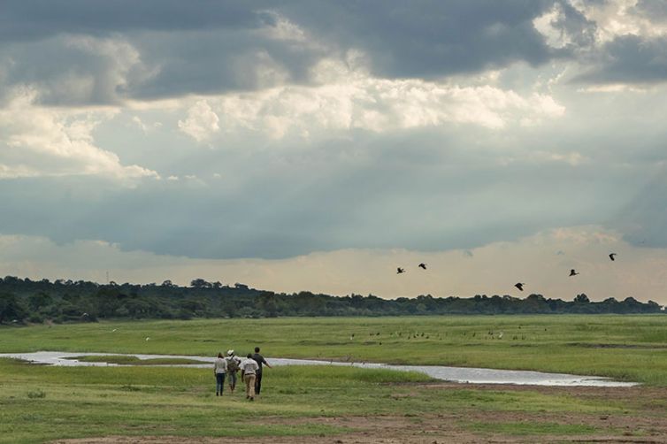 Muchenje Safari Lodge walk