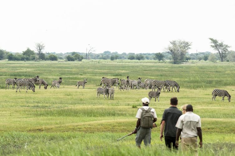 Muchenje Safari Lodge walk
