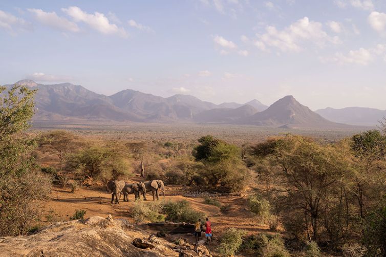 Sarara Camp - African Safari Specialist