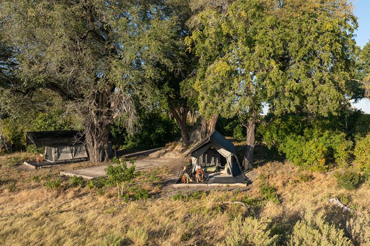 Beagle Expeditions - Safari Consultants - Africa Safari Holiday Specialists