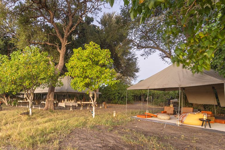 Beagle Expeditions - Safari Consultants - Africa Safari Holiday Specialists