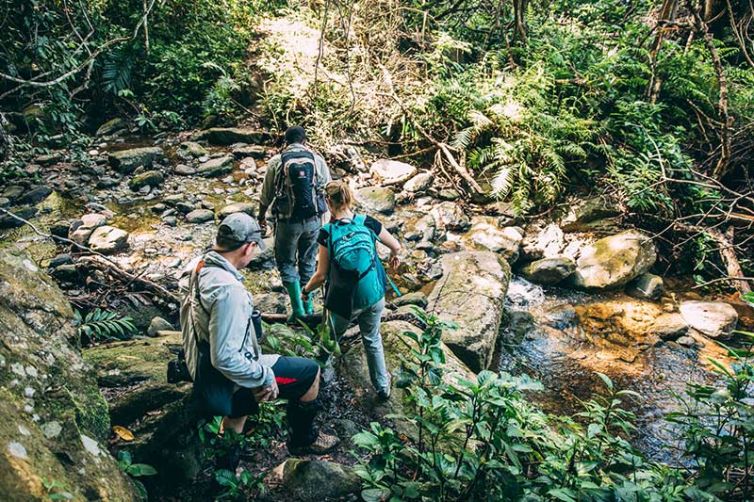 Safari Consultants: Africa Safari Holiday Specialists, Tailor-Made Safaris