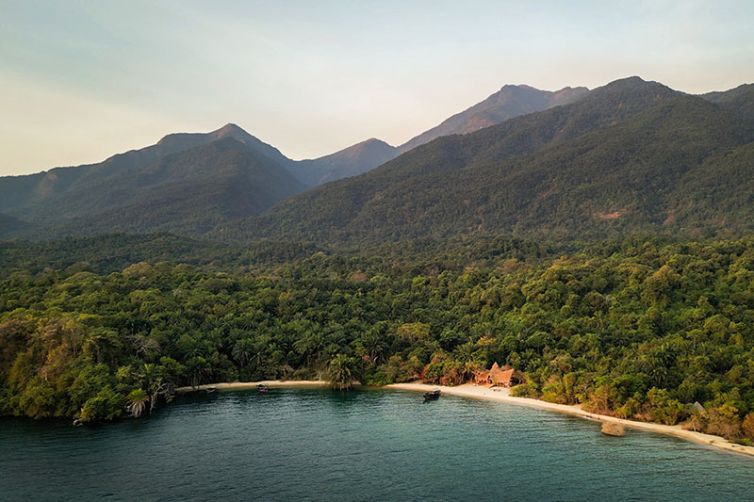 Greystoke Mahale | Wild Chimpanzee Safaris