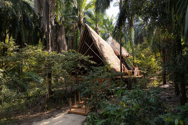 Greystoke Mahale - Luxury Safari