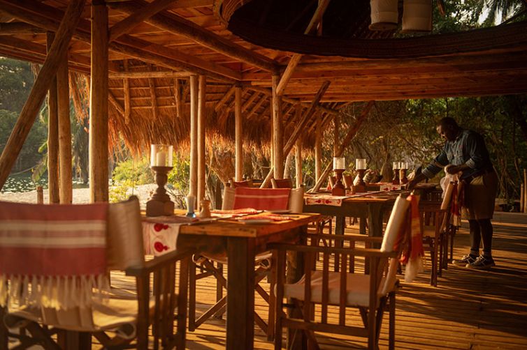 Greystoke Mahale | Wild Chimpanzee Safaris