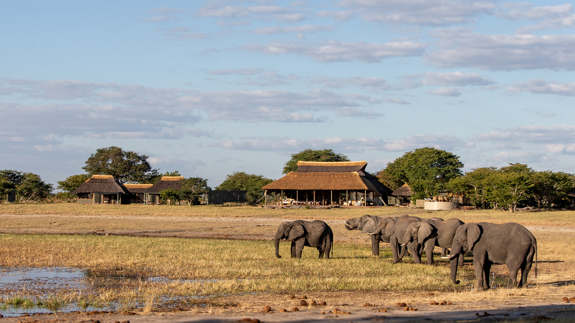 Kafunta River Lodge | Luxury Safari Lodge in Zambia