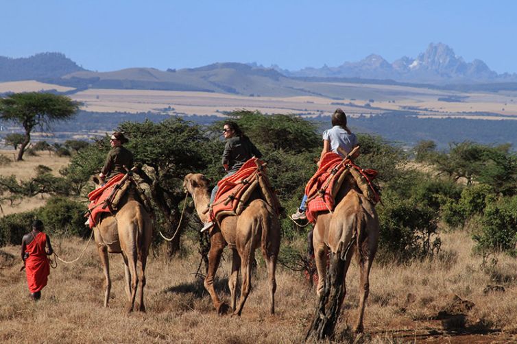 Lewa Wilderness | Kenya | Wildlife-Rich Lew Conservancy