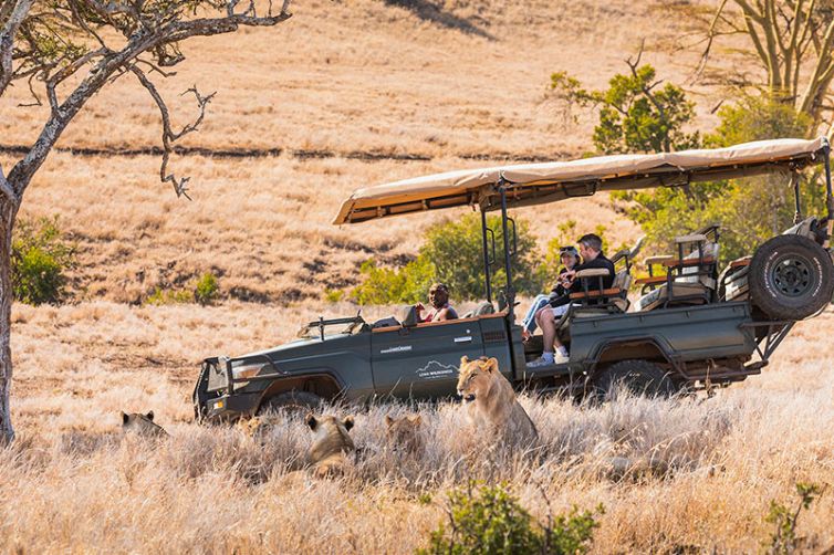 Lewa Wilderness | Kenya | Wildlife-Rich Lew Conservancy