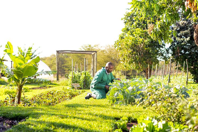 Lewa Wilderness | Kenya | Wildlife-Rich Lew Conservancy