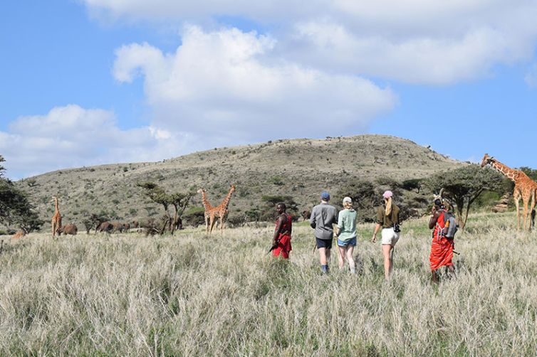 Lewa Wilderness | Kenya | Wildlife-Rich Lew Conservancy