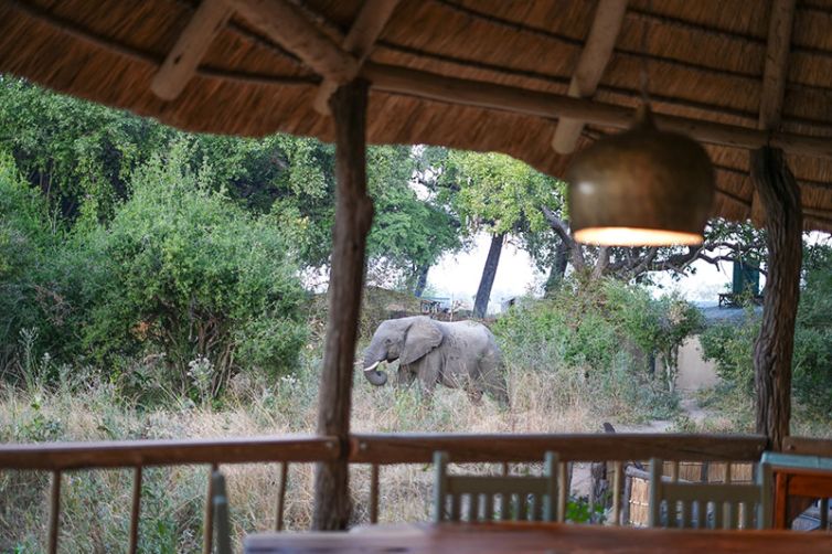 Mwamba Camp | South Luangwa National Park