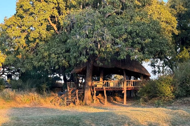 Mwamba Camp | South Luangwa National Park