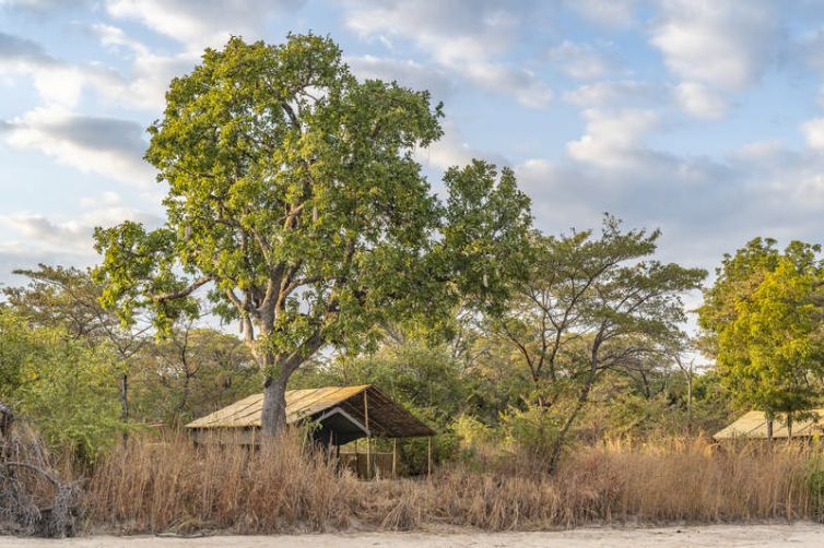 Nkonzi Bush Camp | Luxury Camps in Zambia