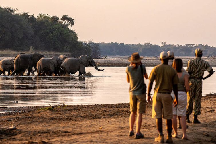 Takwela Camp | North Luangwa National Park | Zambia