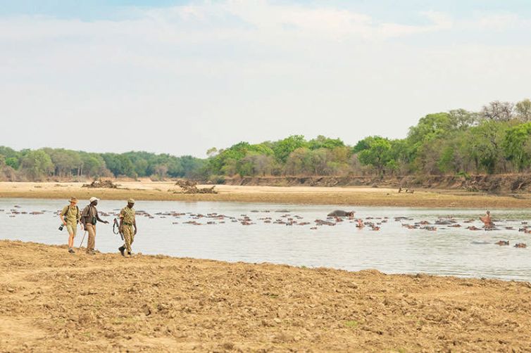 Takwela Camp | North Luangwa National Park | Zambia