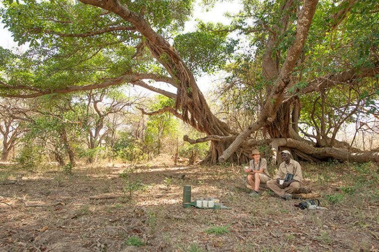 Takwela Camp - Zambia