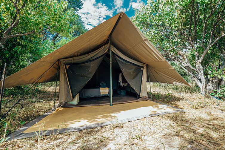 Golden Africa Safaris - Botswana Safari Camps & Lodges