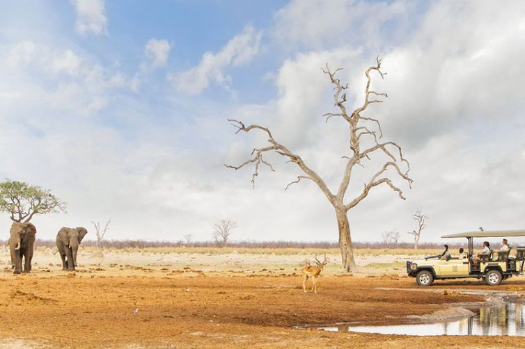 Savute Safari Lodge | Chobe National Park | Botswana
