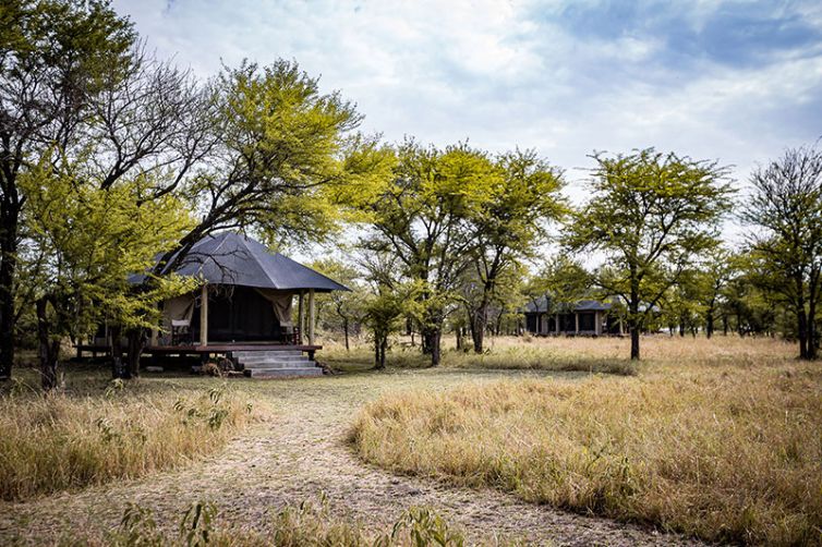 serians-serengeti-lamai-tent-exterior-c_AWS