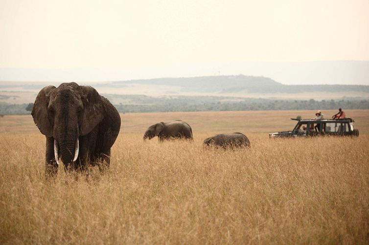 Rekero Camp | Asilia Africa